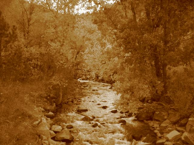 2004/10 Oct/640x480_041008 boulder creek1.JPG